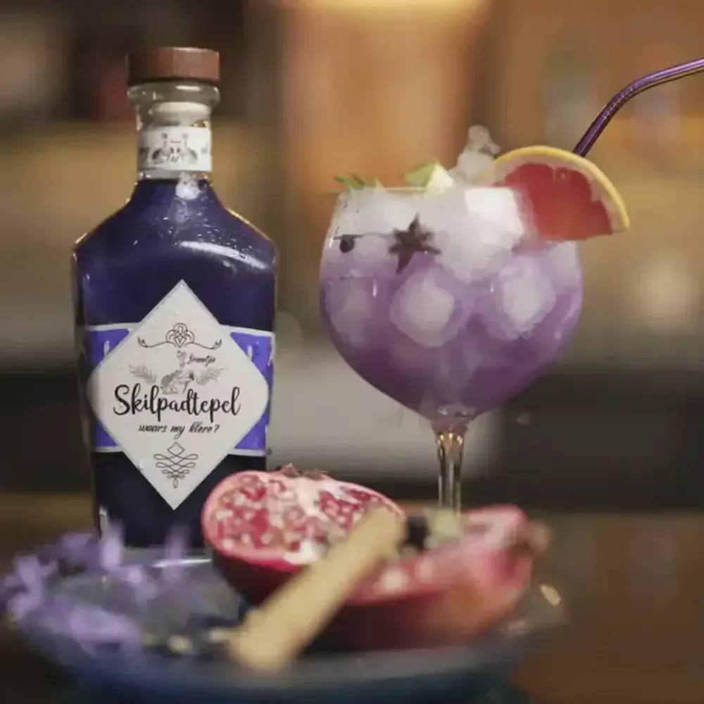 Skilpadtepel jenewer en 'n ligpers skemerkelkies met granaatappel, steranys en pompelmoes in 'n ballonglas